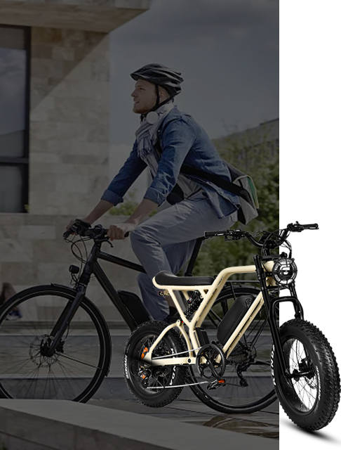 ELECTRIC BICYCLES