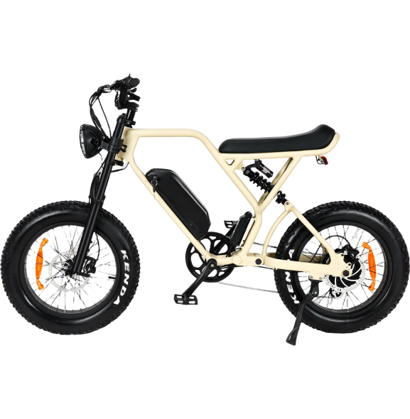 ELECTRIC BICYCLES